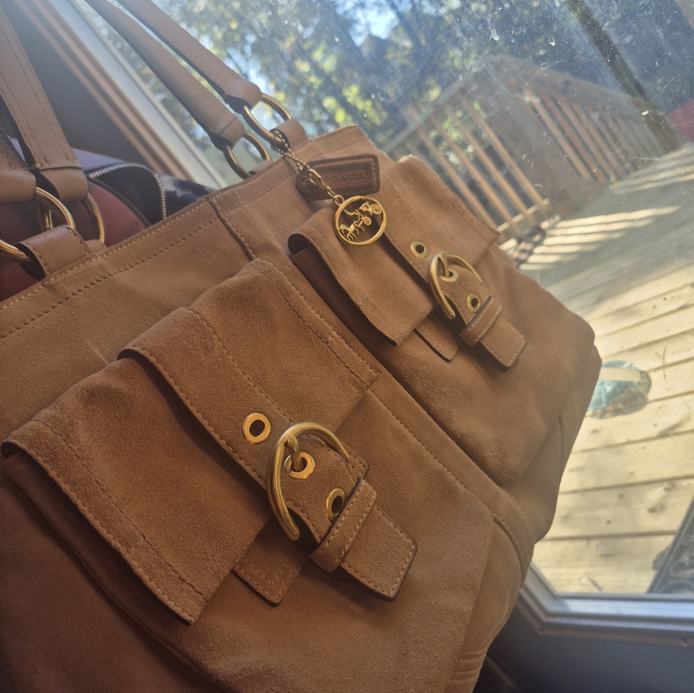 Suede Coach - Picture 6 of 7